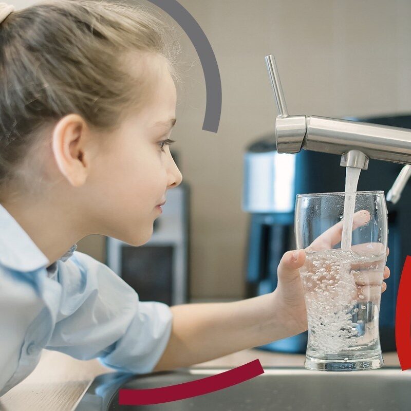 Freseniuscasselberryllc